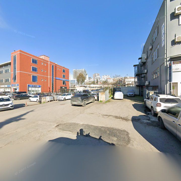 Fotoğraf 10