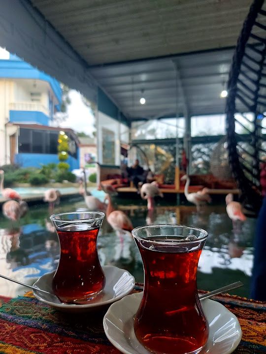 Fotoğraf 8