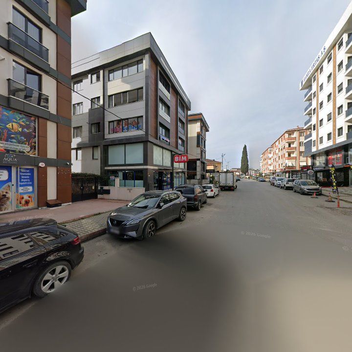 Fotoğraf 11