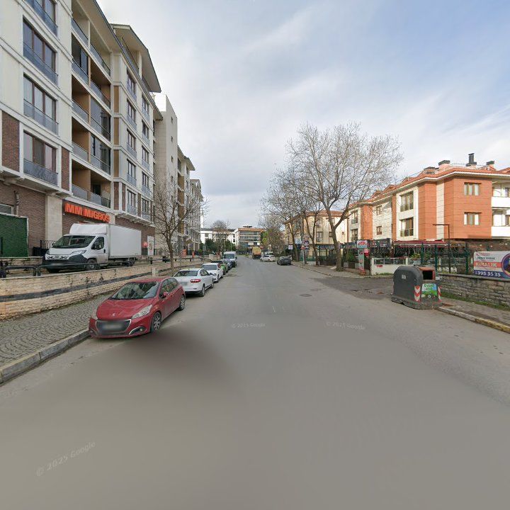 Fotoğraf 8