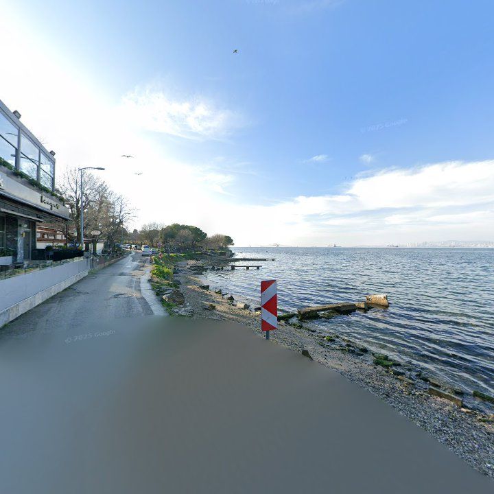 Fotoğraf 12