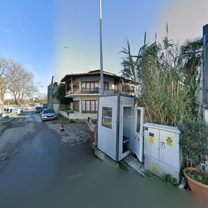 Fotoğraf 14