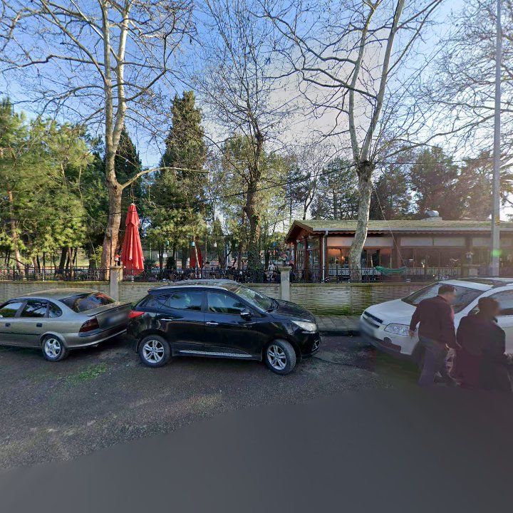 Fotoğraf 12