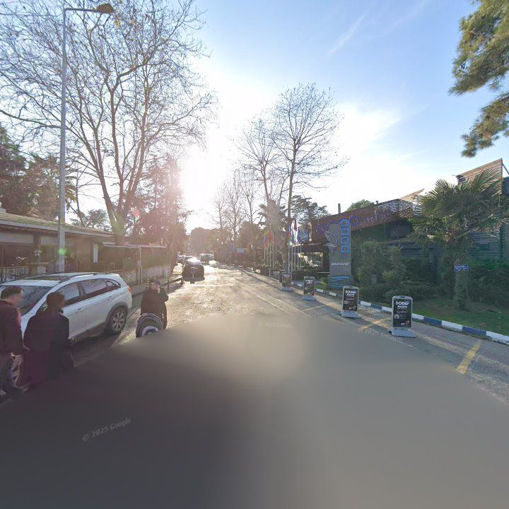 Fotoğraf 13