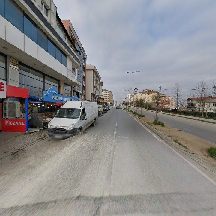Fotoğraf 7