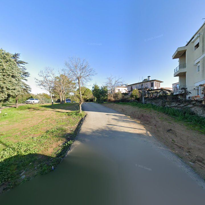 Fotoğraf 12