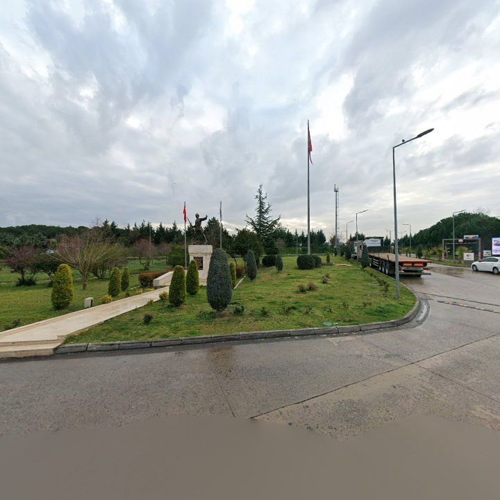 Fotoğraf 8