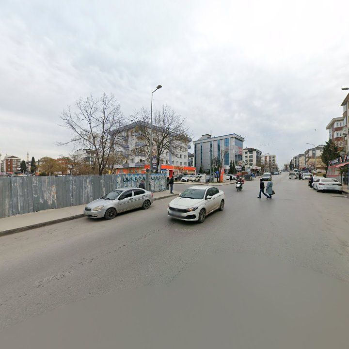 Fotoğraf 12