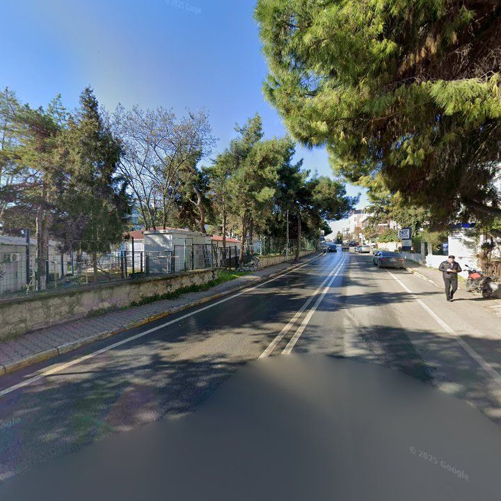 Fotoğraf 11