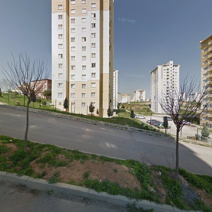 Fotoğraf 11