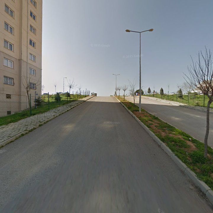 Fotoğraf 10