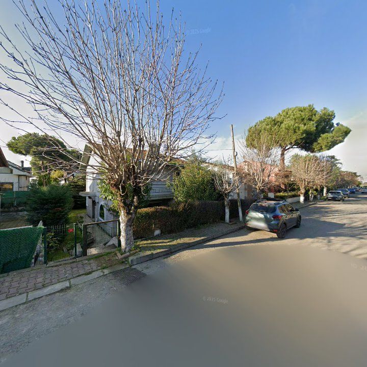 Fotoğraf 12