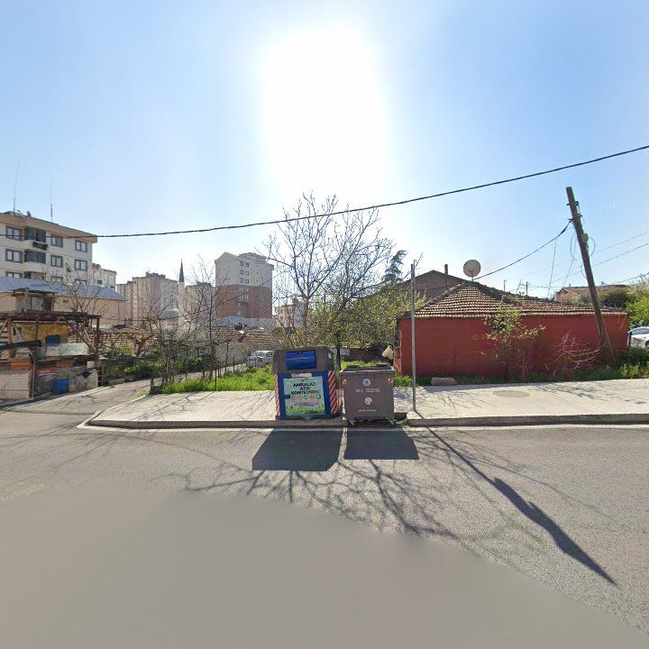 Fotoğraf 8