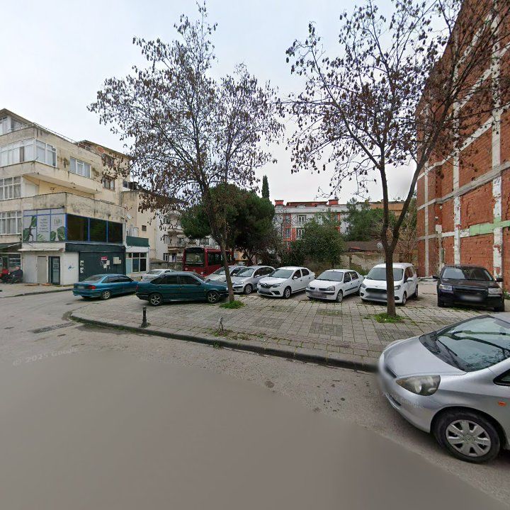 Fotoğraf 7