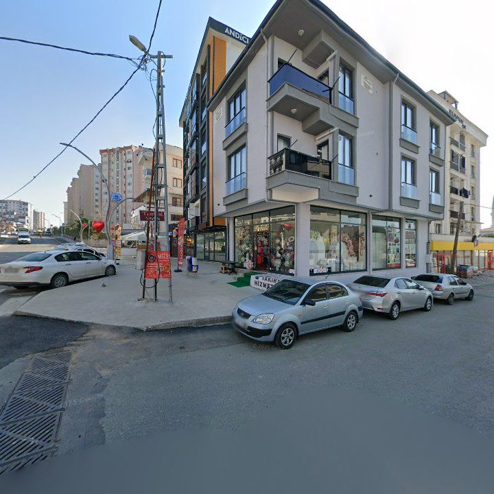 Fotoğraf 3