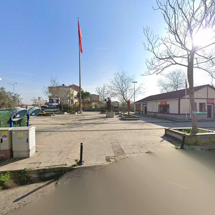 Fotoğraf 10