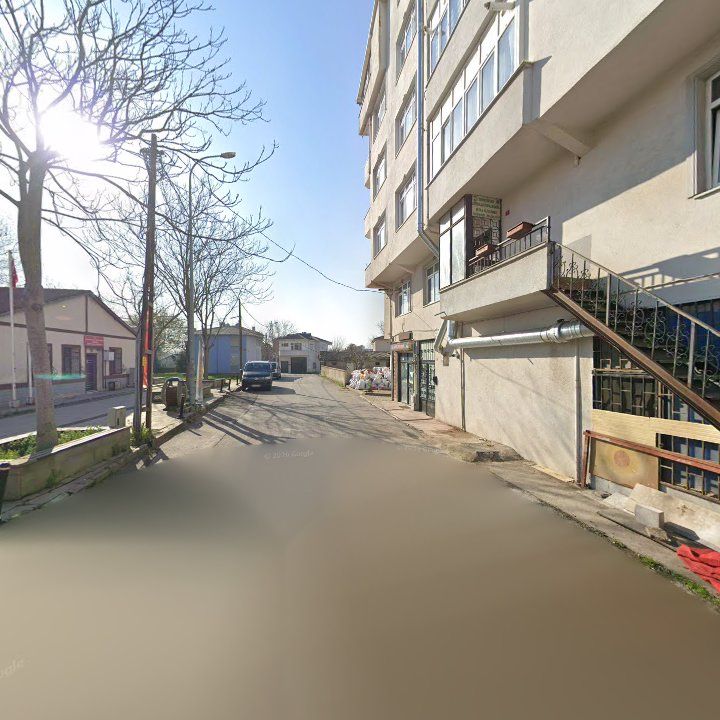 Fotoğraf 11
