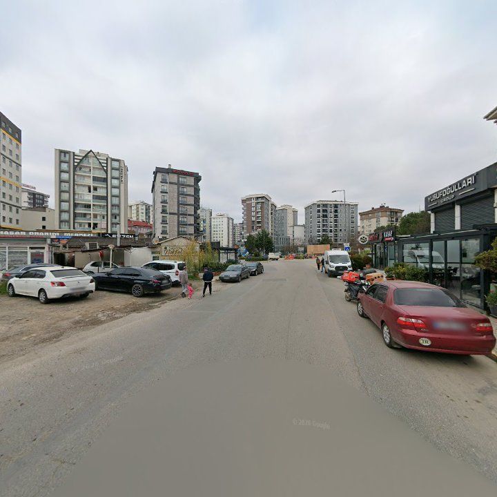 Fotoğraf 10