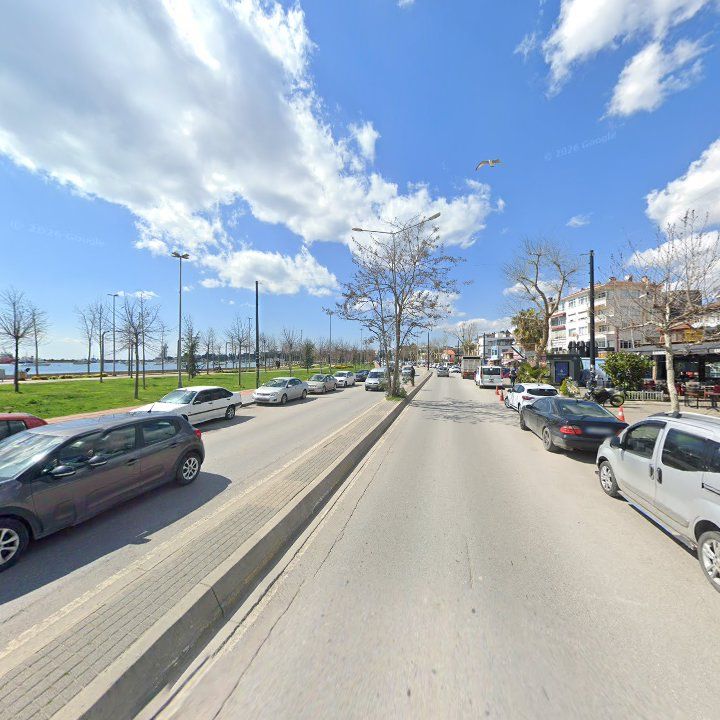 Fotoğraf 10