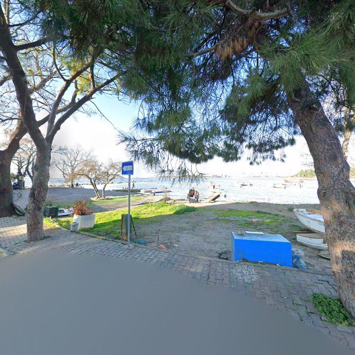Fotoğraf 13