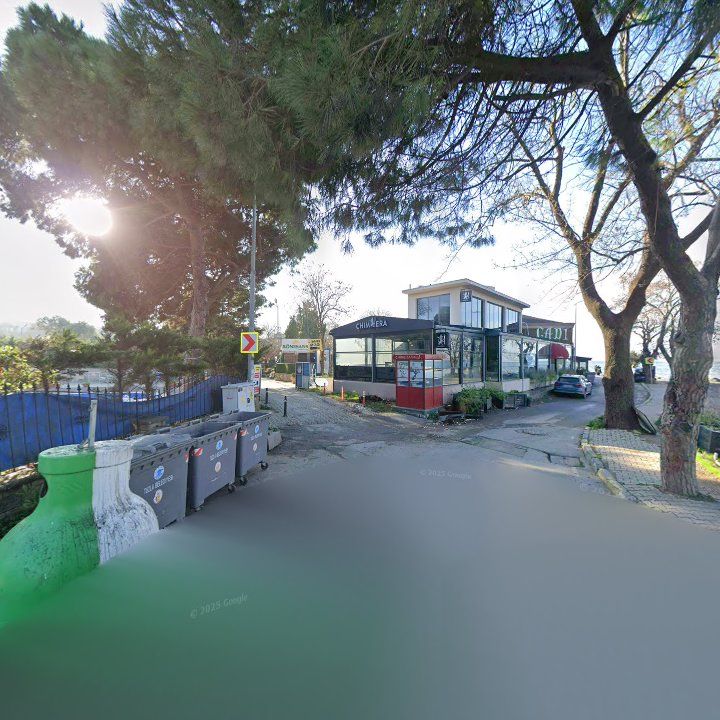 Fotoğraf 12