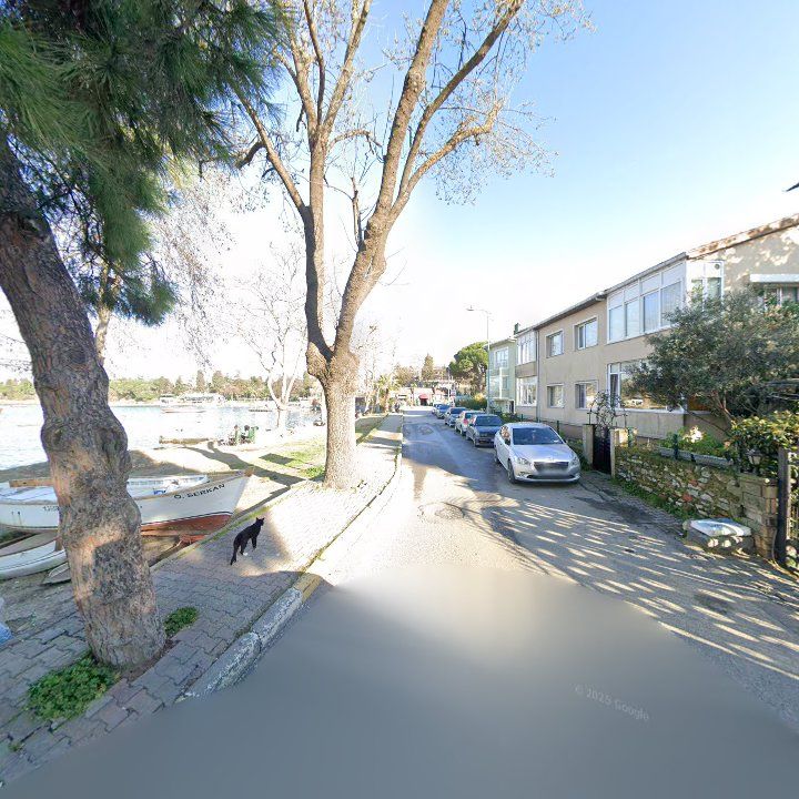 Fotoğraf 14
