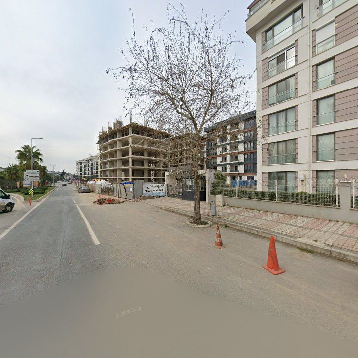 Fotoğraf 17
