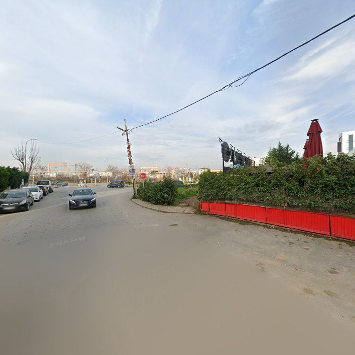 Fotoğraf 12
