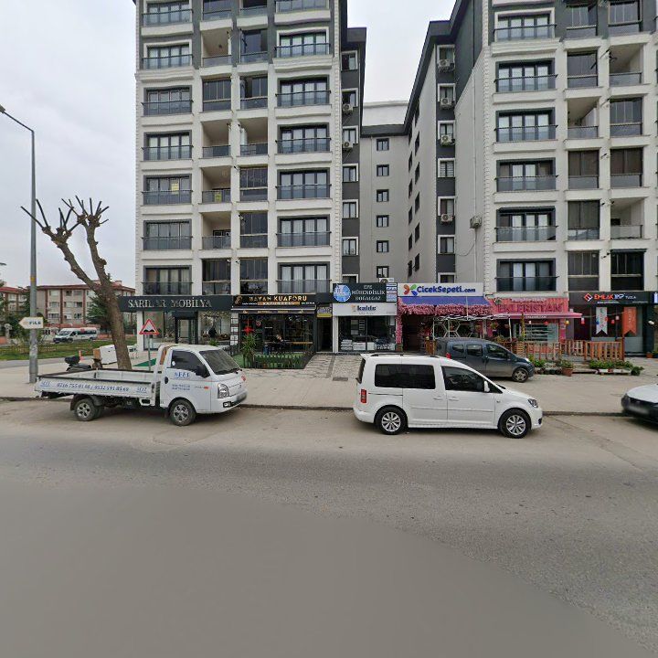 Fotoğraf 12