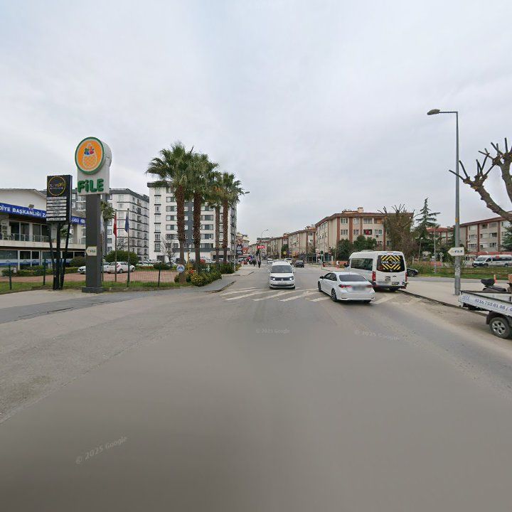 Fotoğraf 11