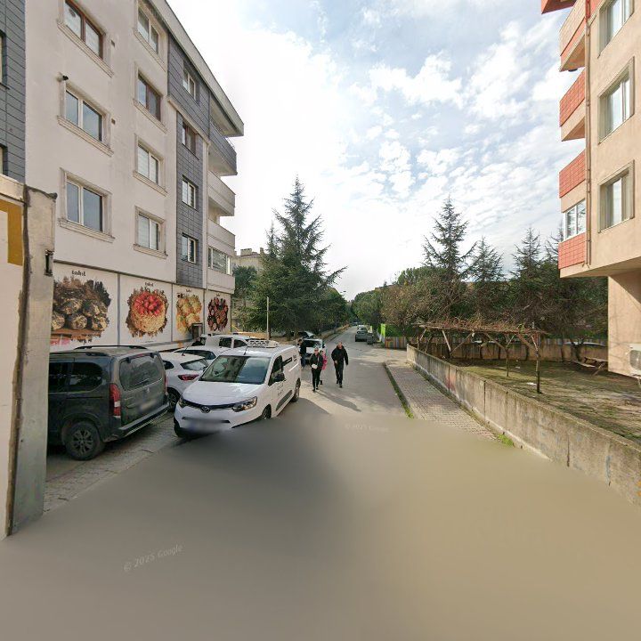 Fotoğraf 8