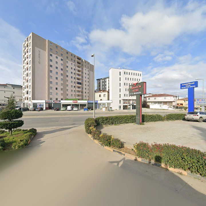 Fotoğraf 10