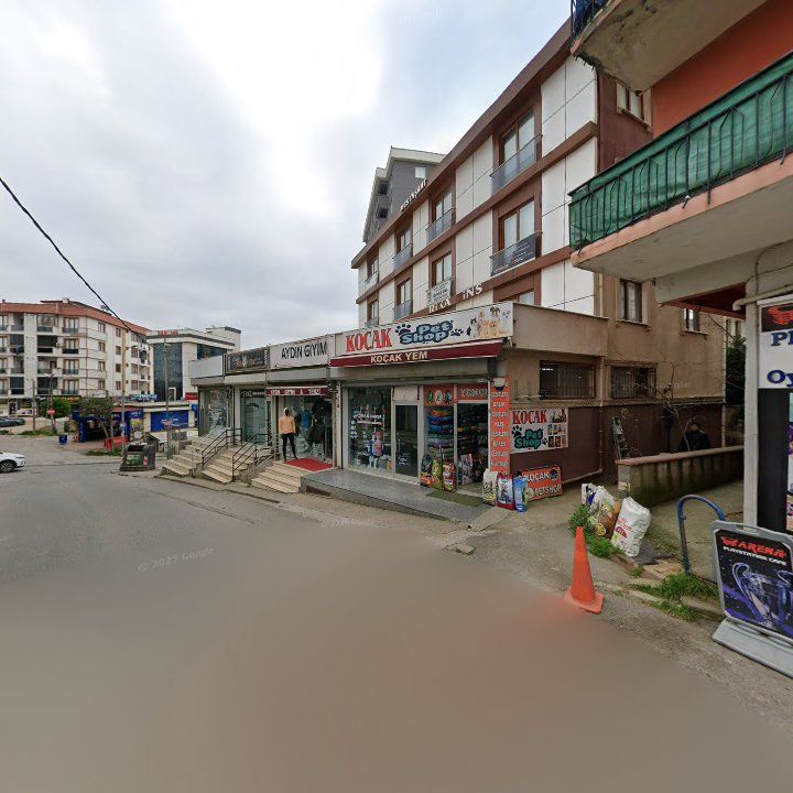Fotoğraf 5