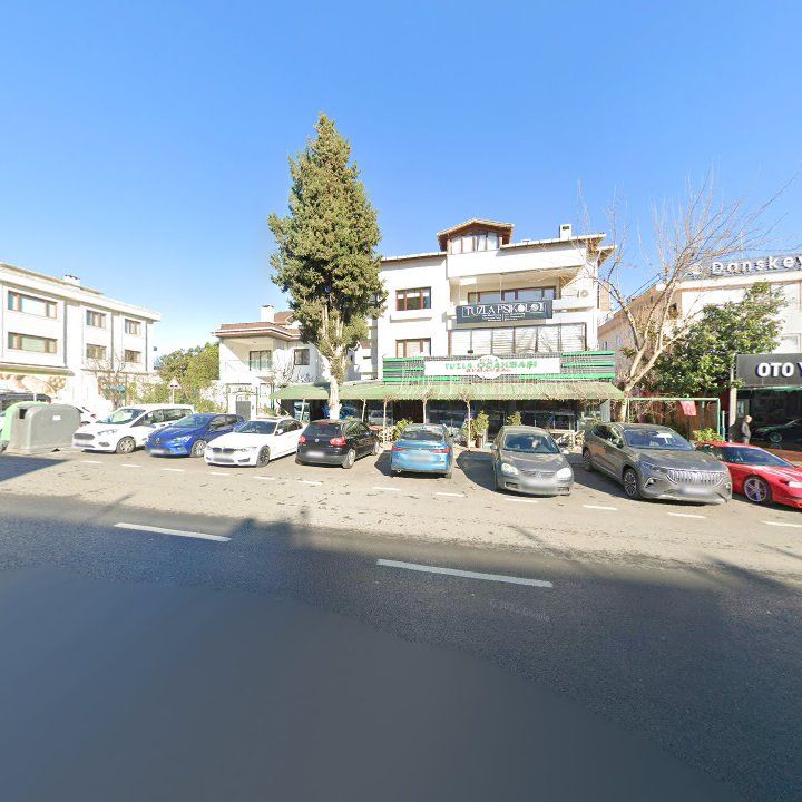 Fotoğraf 12