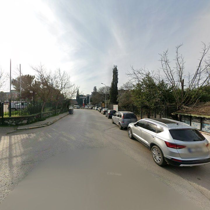 Fotoğraf 8