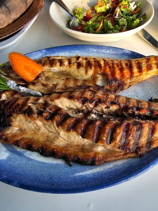 Fotoğraf 12