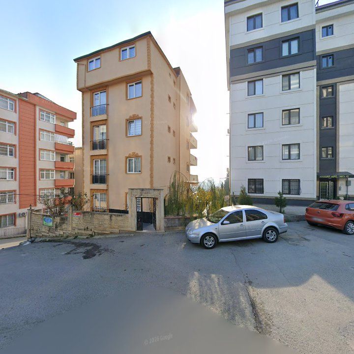 Fotoğraf 10