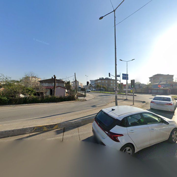 Fotoğraf 7