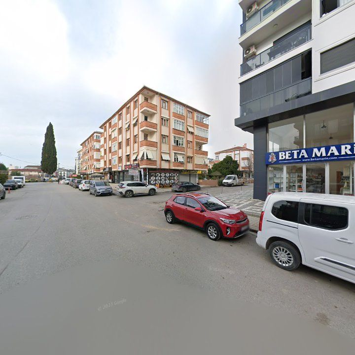 Fotoğraf 6