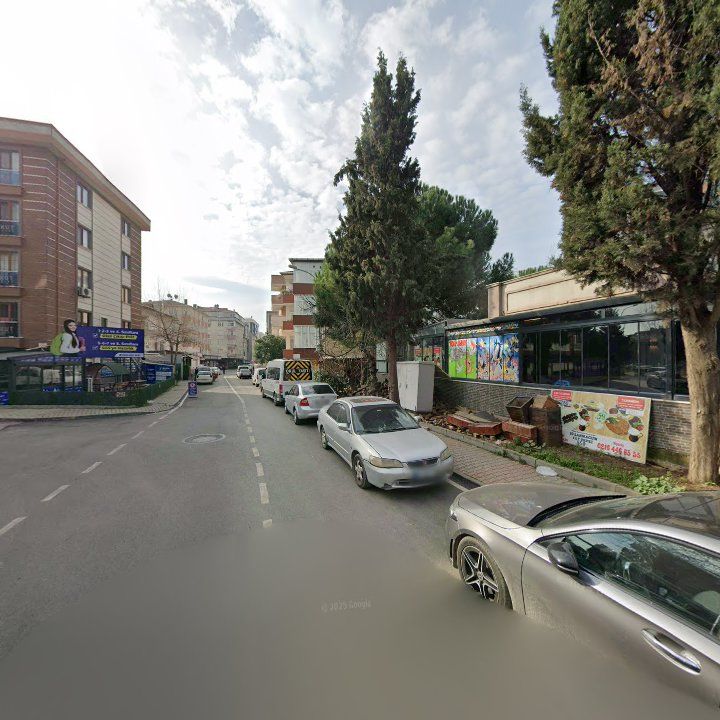 Fotoğraf 12