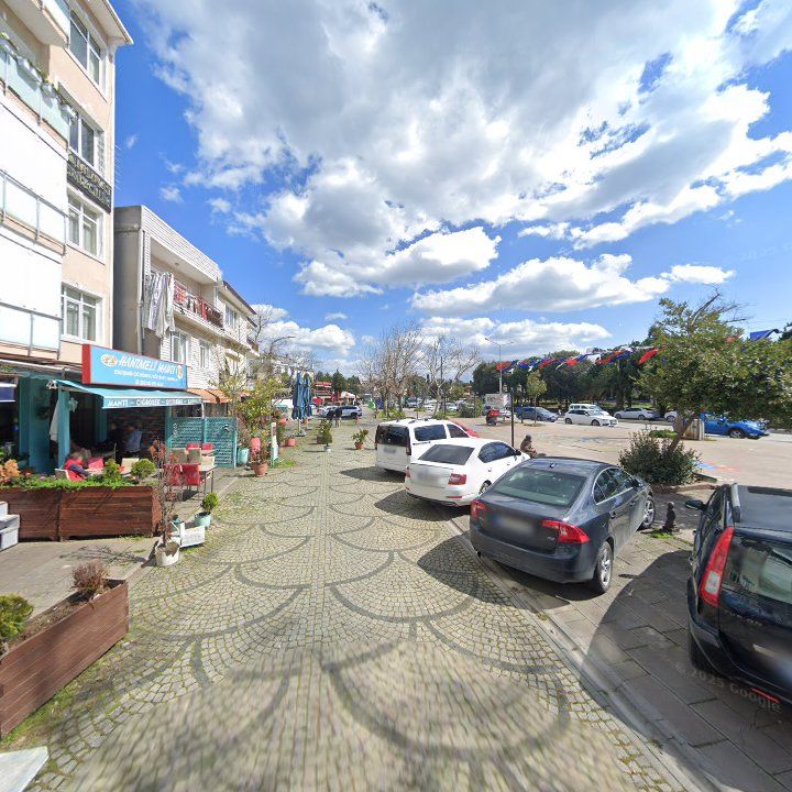 Fotoğraf 10