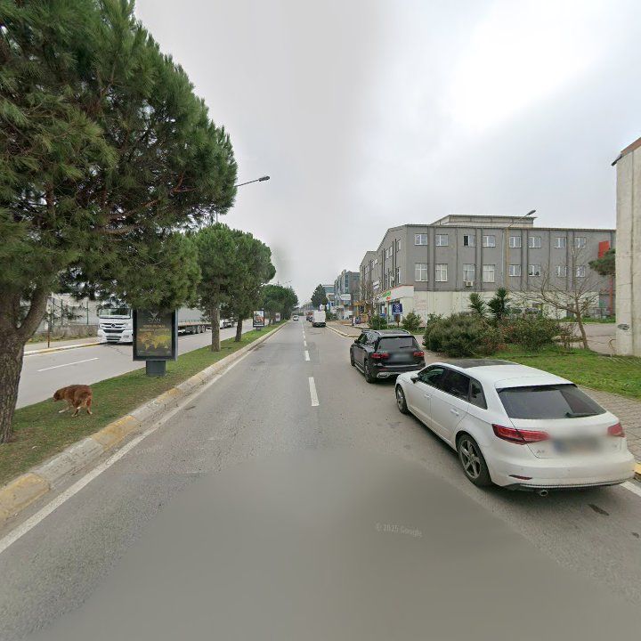 Fotoğraf 6