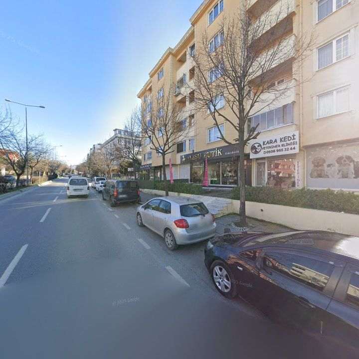 Fotoğraf 14