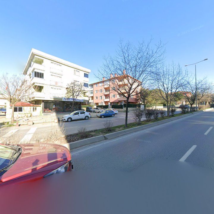 Fotoğraf 13