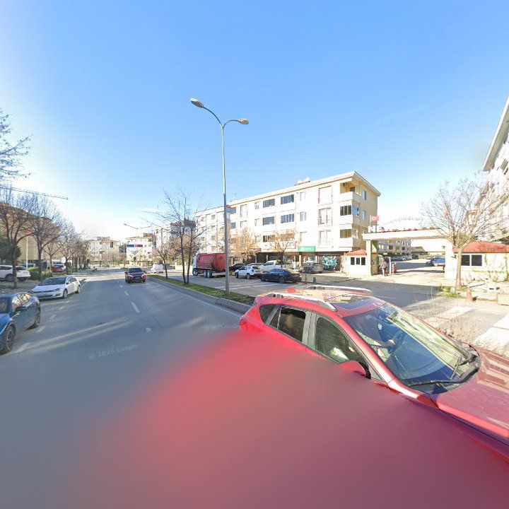 Fotoğraf 12