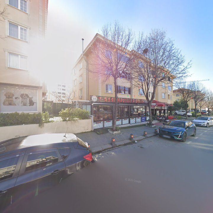 Fotoğraf 11