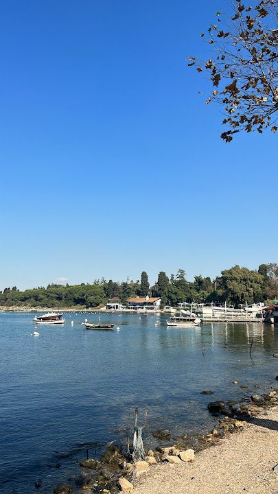 Fotoğraf 21