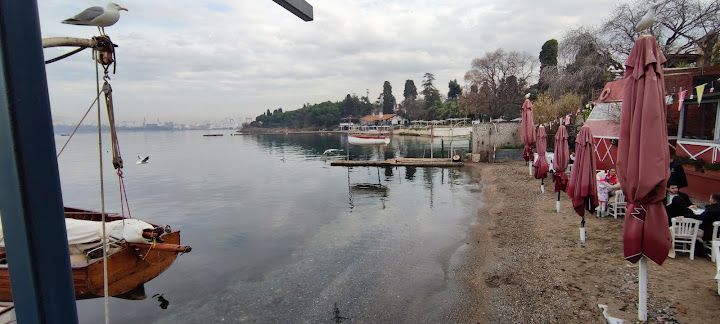 Fotoğraf 67