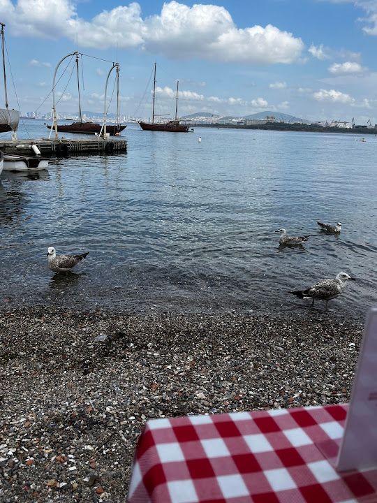 Fotoğraf 70