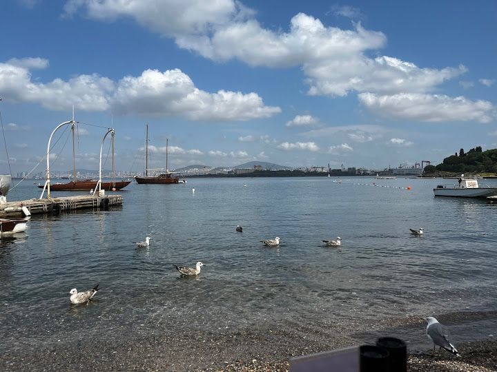 Fotoğraf 31